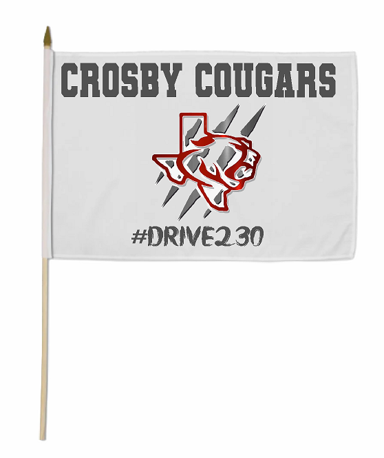 School Spirit Flags