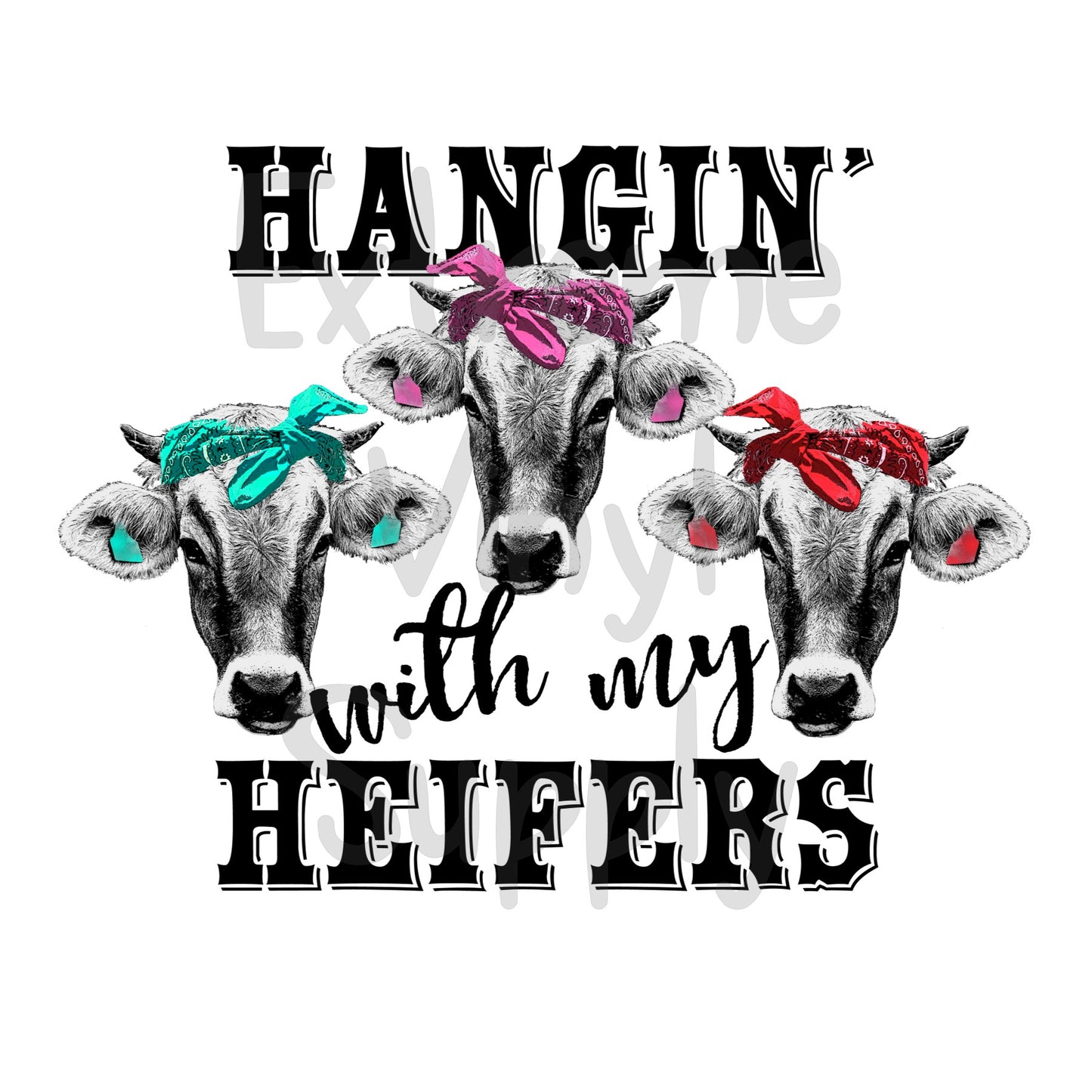 Hanging with my Heifers